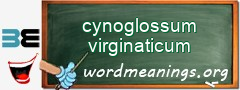 WordMeaning blackboard for cynoglossum virginaticum